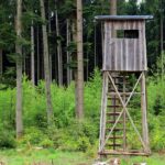 Hochsitz für Jäger in einem Tannenwald