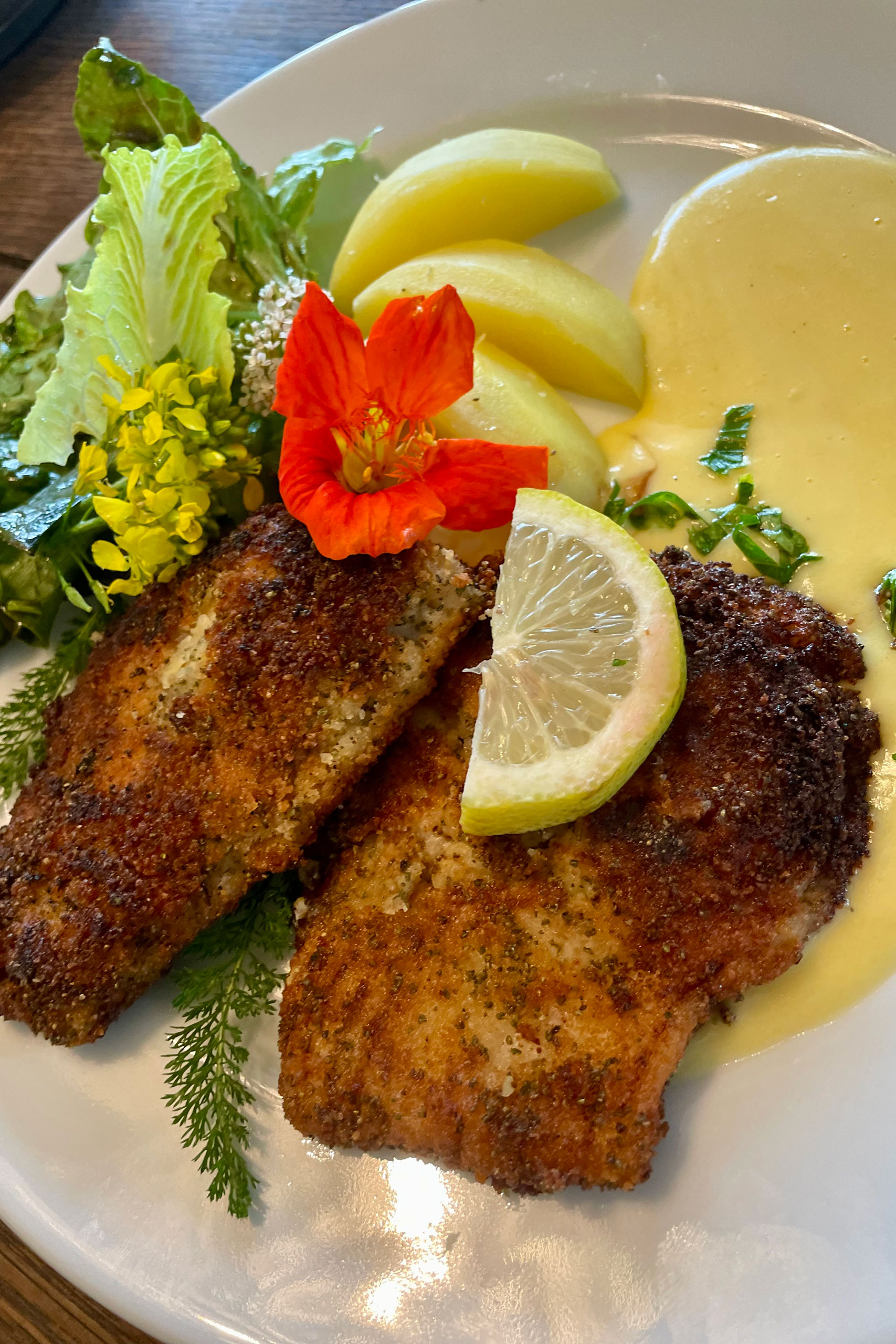 Karpfenfilets