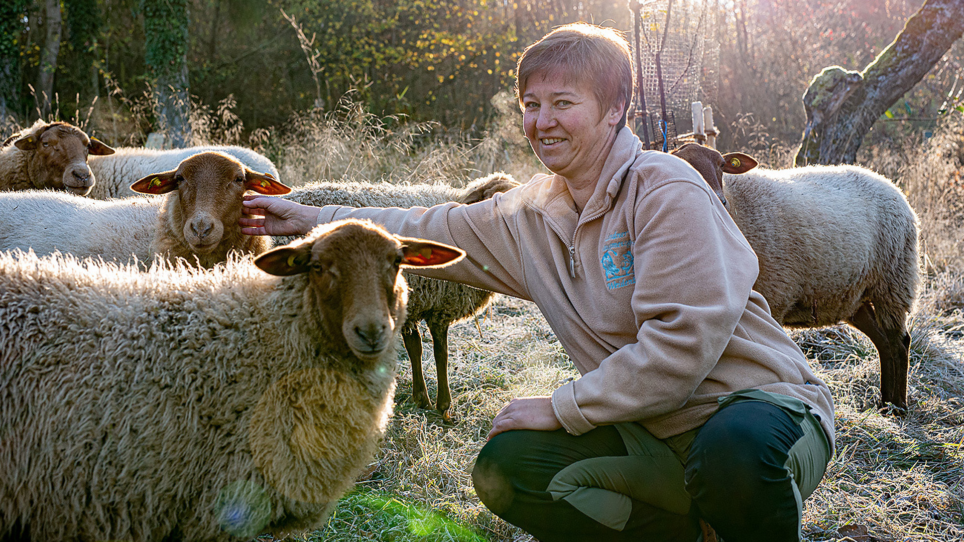 Maritta Lindner in Outdoor-Kleidung hockt auf einer Wiese und streichelt mehrere Schafe im Sonnenlicht